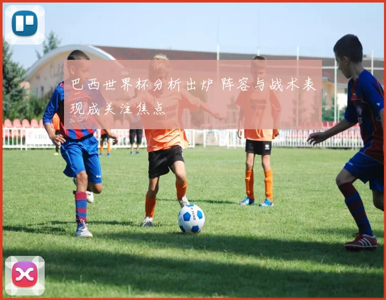 巴西世界杯分析出炉 阵容与战术表现成关注焦点